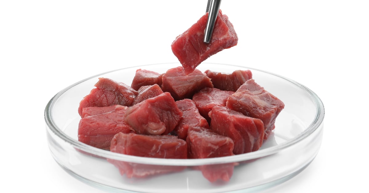 2025’s biggest cultivated meat trends